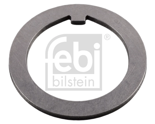 Shaft Seal, wheel bearing